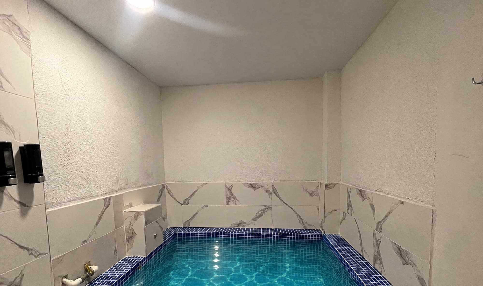 Family Room: mosaic-tiled private thermal pool